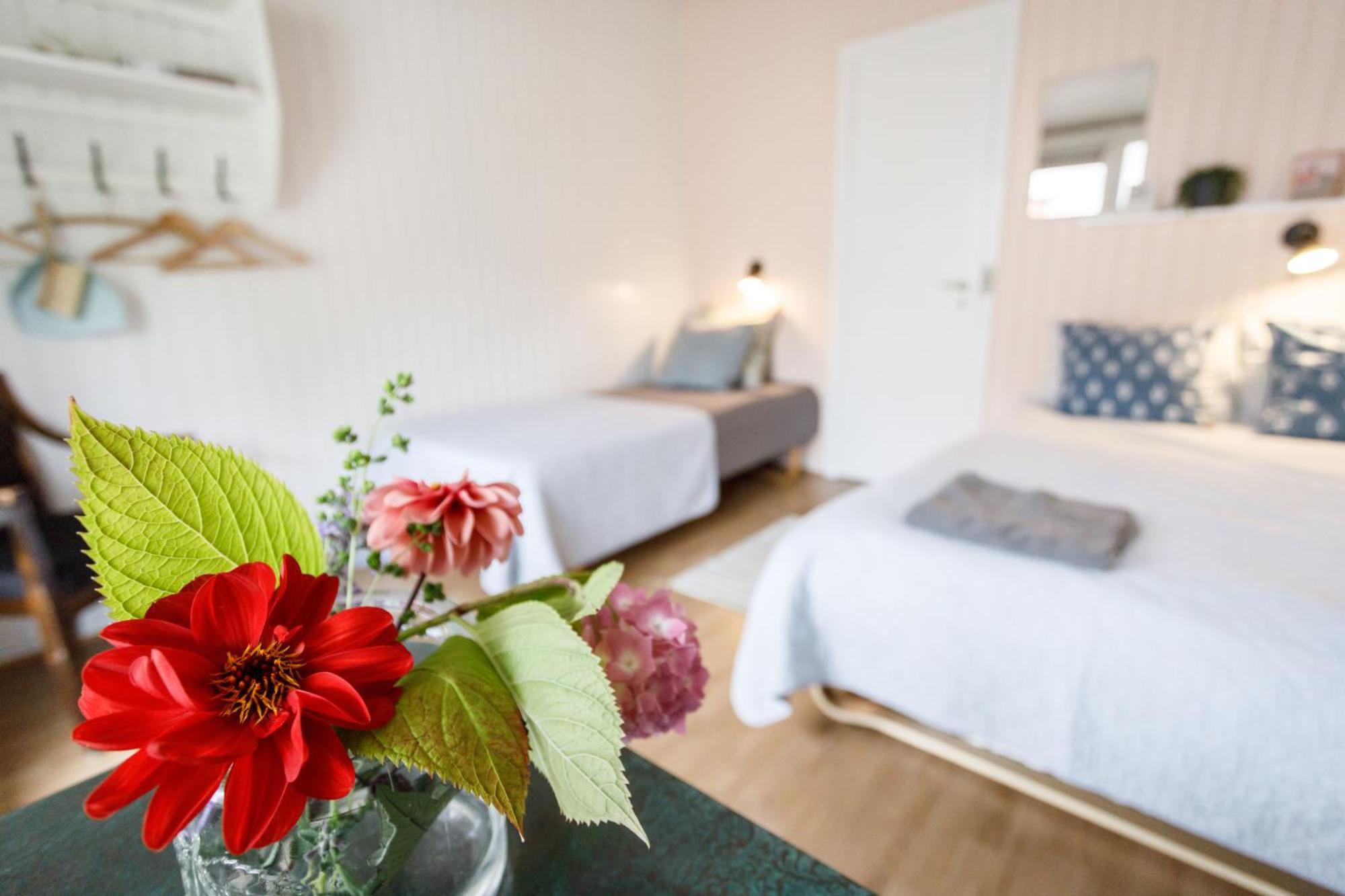 Danhostel Stevns Klint Store Heddinge المظهر الخارجي الصورة
